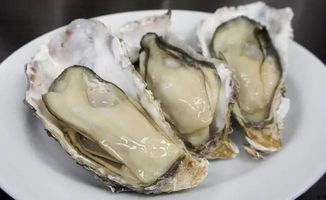 牡蠣和生蠔一樣嗎