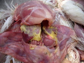 三養火雞面開水泡多久