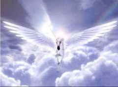 世界上有獨角獸嗎