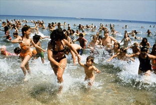 大白鯊和虎鯊哪個(gè)厲害