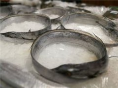 帶魚是深海魚嗎