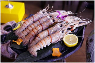 帝王鮭魚與三文魚有什么不同