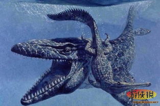 滄龍和藍(lán)鯨誰大