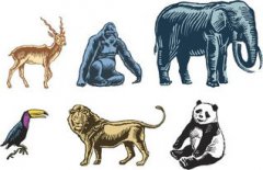 大猩猩和獅子誰厲害