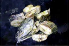 黑魚怎么做