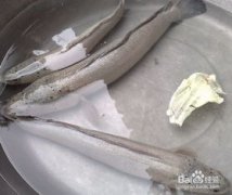 黑魚的粘液怎么去除