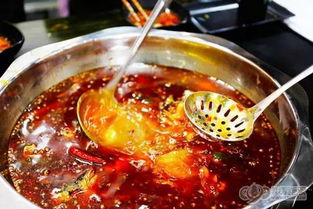 美蛙和牛蛙有什么不同