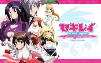 鹡鸰女神有第三季嗎