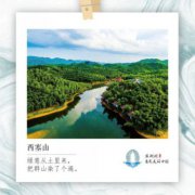 西塞山前白鷺飛的下一句是什么