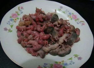 三吱兒是哪里的菜