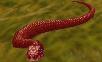 水赤練蛇有毒嗎