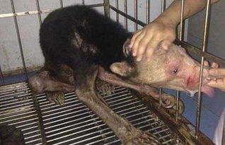 水鬼為什么會拉人下水