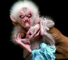 水鬼長什么樣子