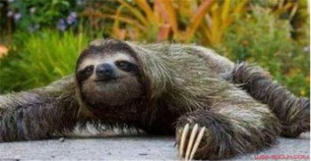 水鬼長什么樣子