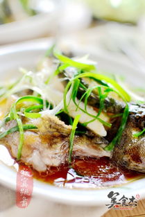 清蒸石斑魚如何做