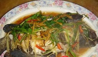 清蒸石斑魚如何做