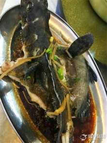 清蒸石斑魚蒸多長時間