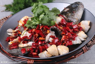 魚頭像蛇頭魚是什么魚