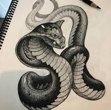 銀環蛇和眼鏡蛇哪個毒