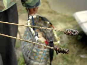 3月份黃鱔可以釣嗎
