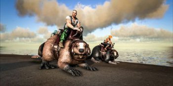 方舟河貍有什么用