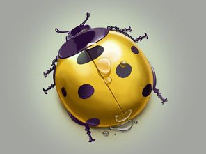 花大姐是什么昆蟲