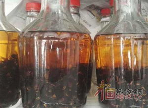 虎頭蜂泡酒多久才能喝