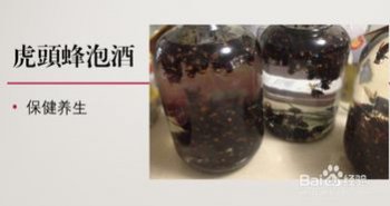 虎頭蜂泡酒怎么泡