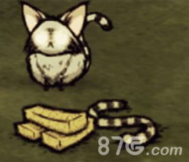 饑荒浣熊怎么養(yǎng)