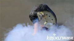 安徽巨蟒渡劫事件是真的嗎