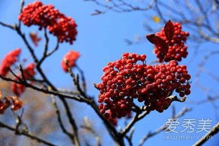 抖音花花世界是什么歌