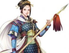 于成龍宣撫使是什么官