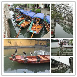 沈萬三的墓在哪