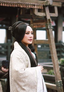 寧?kù)o演的羋八子