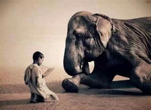 菩薩心腸金剛手段是什么意思