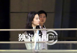 rain劉亦菲演的電影