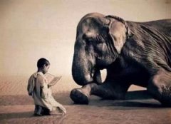 菩薩心腸金剛手段是什么意思