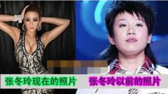 阿寶的老婆是張冬玲嗎