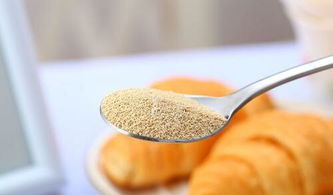 安琪發面一般多長時間