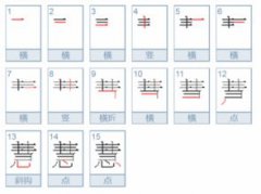 智慧的慧可以組什么詞
