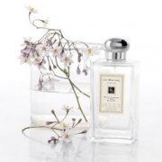 祖馬龍香水算高端嗎