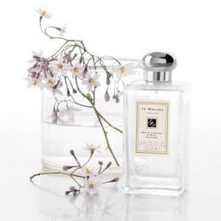 祖馬龍香水算高端嗎