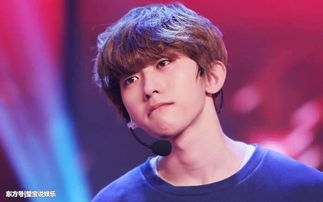 蔡徐坤應援色是什么