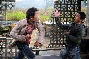 鄒兆龍和甄子丹誰厲害