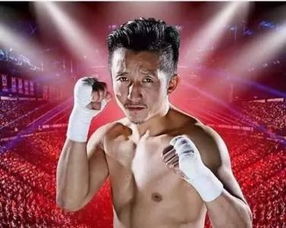 鄒市明一拳能打多少斤