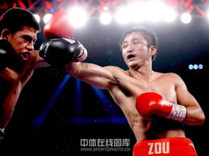 鄒市明比賽哪個臺轉(zhuǎn)播