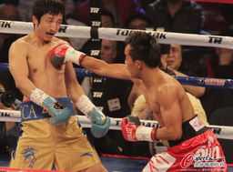 鄒市明比賽在哪看