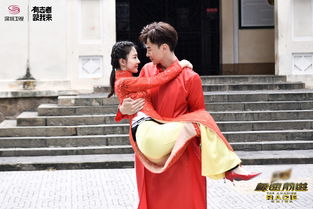 鄭元暢王麗坤是夫妻嗎