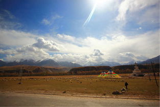 張掖到胡楊林多少公里