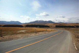 張掖到胡楊林多少公里